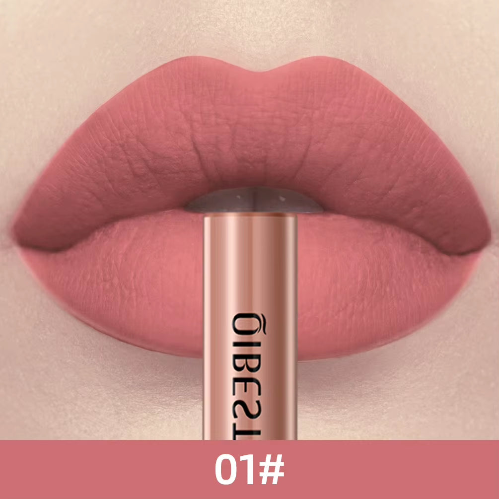 Matte Liquid Lipstick Waterproof Long Lasting Lip Gloss Velvet Mate Nude Red Tint Tube Lipsticks Lipgloss Makeup Cosmetic